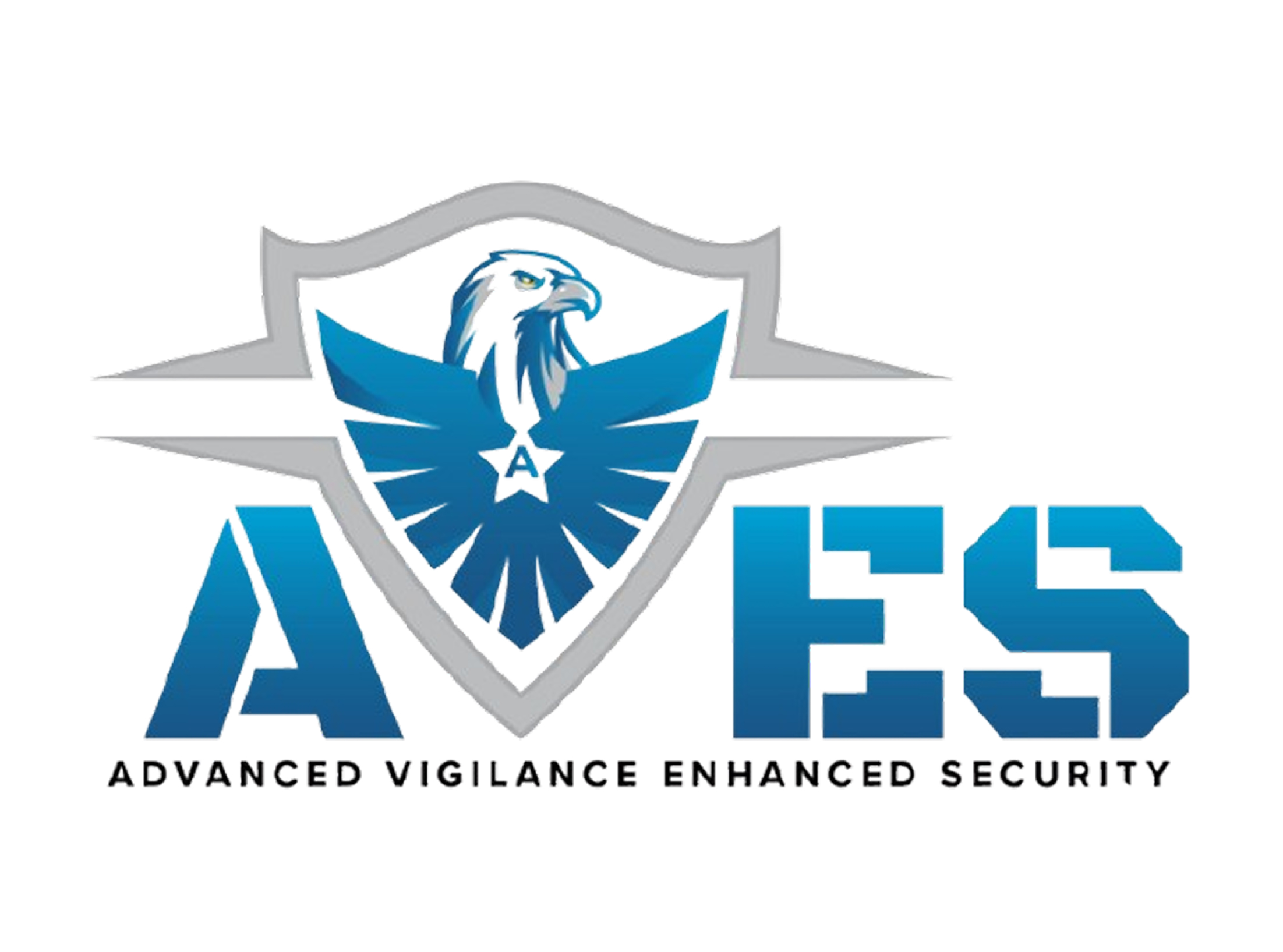 Link to https://avessecurity.com/