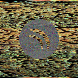 waveform preloader image