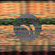 waveform preloader image