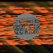 waveform preloader image