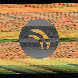 waveform preloader image