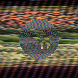 waveform preloader image
