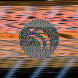 waveform preloader image