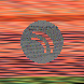 waveform preloader image