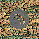 waveform preloader image