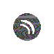 waveform preloader image