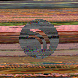 waveform preloader image