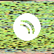 waveform preloader image