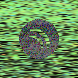 waveform preloader image