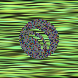 waveform preloader image