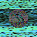 waveform preloader image