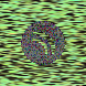 waveform preloader image
