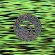 waveform preloader image