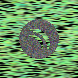 waveform preloader image