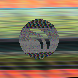 waveform preloader image