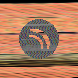 waveform preloader image