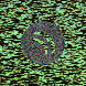 waveform preloader image