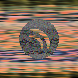 waveform preloader image