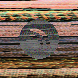 waveform preloader image