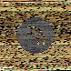 waveform preloader image