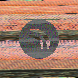 waveform preloader image