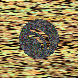 waveform preloader image