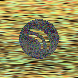 waveform preloader image