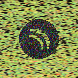 waveform preloader image