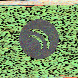 waveform preloader image