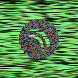 waveform preloader image