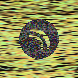 waveform preloader image