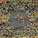 waveform preloader image