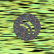 waveform preloader image