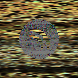 waveform preloader image