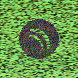 waveform preloader image