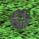 waveform preloader image