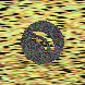 waveform preloader image