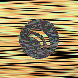 waveform preloader image