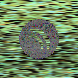 waveform preloader image