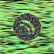 waveform preloader image