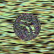 waveform preloader image
