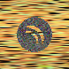 waveform preloader image