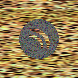 waveform preloader image