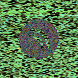 waveform preloader image