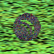 waveform preloader image