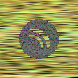 waveform preloader image