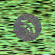 waveform preloader image
