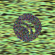 waveform preloader image