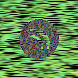 waveform preloader image