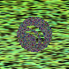 waveform preloader image